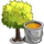 Silver Maple Tree-icon