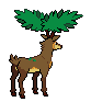 Sawsbuck verano espalda G5