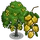Indian Laurel Tree-icon