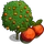Blood Orange Tree-icon