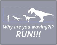 Why-are-you-waving-run