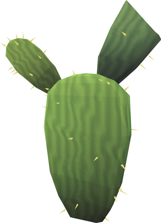 Kharidian cactus (Dry)