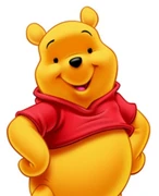 84108-pooh bear
