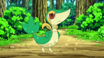 Tsutaaja de Ash