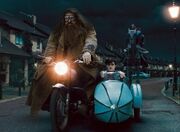 Motorbike