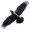 Item raven 01.png