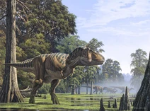 Swamp rex raul martin