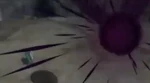 Shino NSUNS2