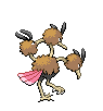 Dodrio espalda G5 hembra