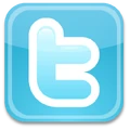 Twitter icon logo.png