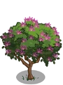 Mountain Ebony1-icon
