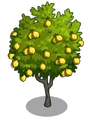 Ponderosa Lemon2-icon