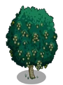 White Walnut2-icon