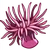 SeaCreatures Anemone-icon