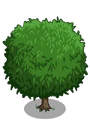 Lychee1-icon