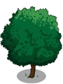 Walnut1-icon