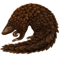Huge item pangolin 01.png