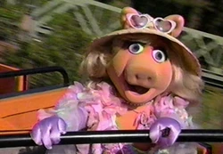 Piggy-eyes-wdw