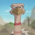 Condor