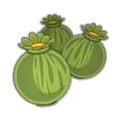 Poppy Seed