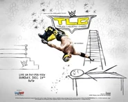 WWE TLC 2010