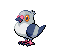 Pidove NB variocolor