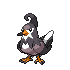 Staravia NB