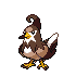 Staravia NB variocolor