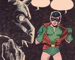 RobinUndertunic