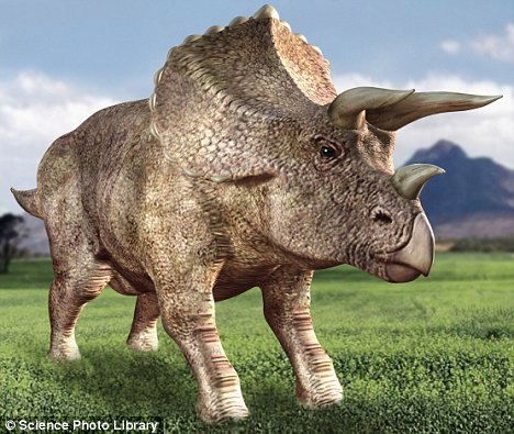 triceratops in real life