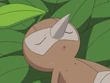 EP313 Nuzleaf (2)