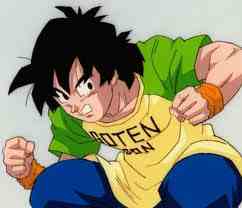 Images (14)