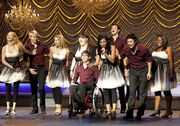 Glee-2-ep-9-special-education-sectionals