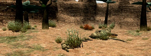 Boneyard-Gully.jpg