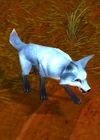 Highlands fox