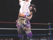 SummerSlam 1995.4
