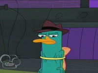 Perry en hoop.png