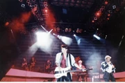 MSG23June19873
