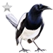 Item jailbird silver 01.png