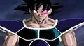 Turles(Pl)