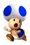 BlueToad NSM64