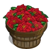 Poinsettia Bushel-icon
