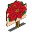 Poinsettia