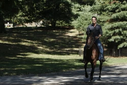 2x10-PeterOnHorseback