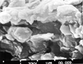 Clay magnified.jpg