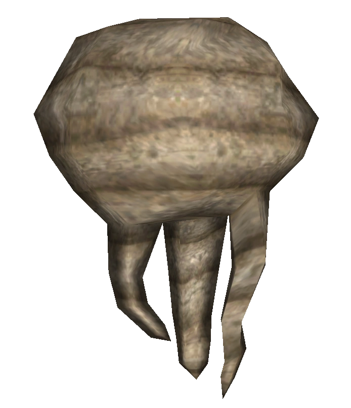 Xander root