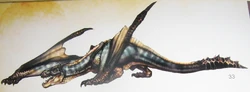 Another Dark Grex