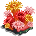 SeaLife Sea Anemones-icon