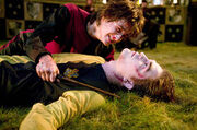P4 Cedric finado