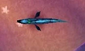 Eel